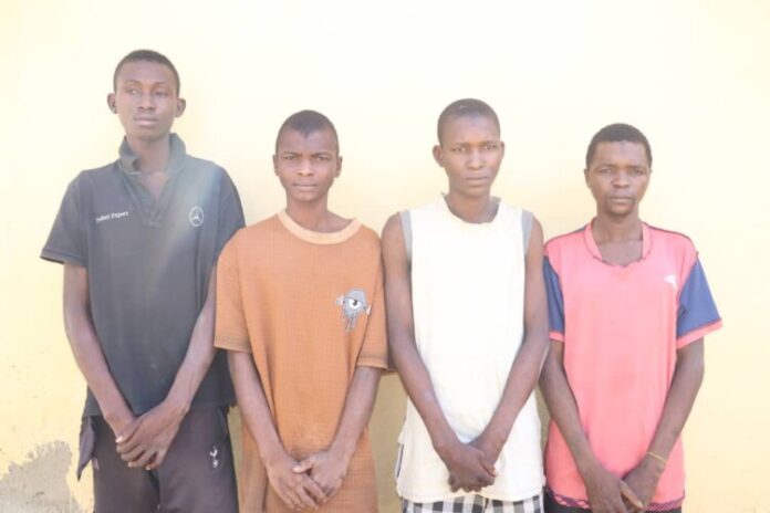 9B327A81-B87C-47D8-B01C-319F8E693A17