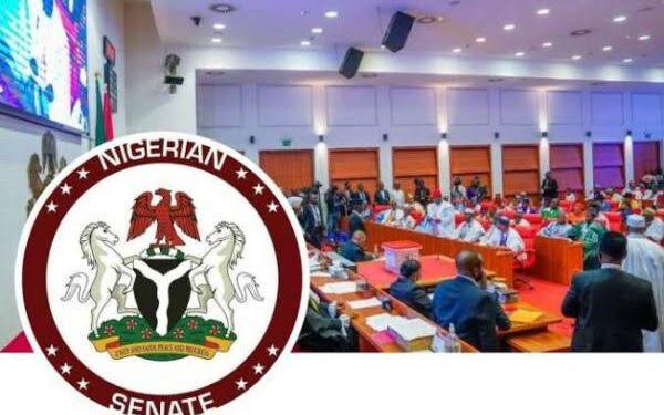 6C148FD6-473F-4205-88FF-35297B40174F